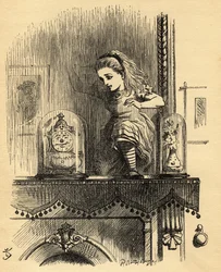 Alice im Spiegelhaus, Illustration aus 
