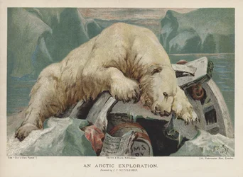 Eine Arktis-Expedition: ein Eisbär untersucht Gegenstände einer Arktis-Expedition