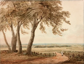 Blick von Polsden bei Bookham in Surrey