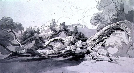 Landschaft mit entwurzeltem Baum