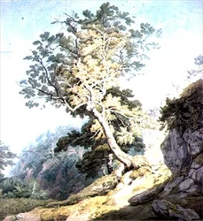 Blick in der Nähe von Canonteign, Devon