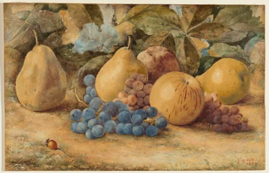 Stillleben mit Obst: Äpfel, Birnen und Trauben auf dem Boden