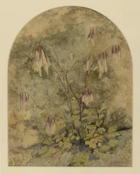 Wildblumen