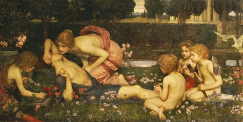 Das Erwachen des Adonis