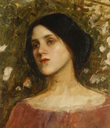 Die Rosenlaube