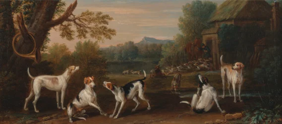 Freilassen der Hunde
