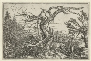 Landschaft mit dem dürren Baum