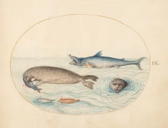Meerestiere, ca. 1575-80