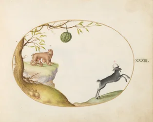 Teller 33: Ein "Simivulpa" (Opossum?) und ein Steinbock