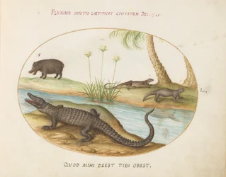 Tafel 50: Ein Krokodil(?), ein Nilpferd(?) und zwei Eidechsen mit einer Papyruspflanze