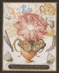 Stillleben mit Blumen, einer Schnecke und Insekten, 1589