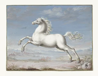 Weißes Pferd