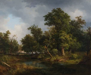 Waldlandschaft