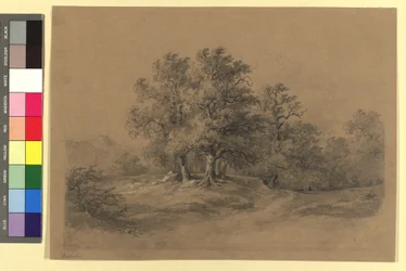 Waldlandschaft