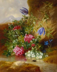 Alpenblume