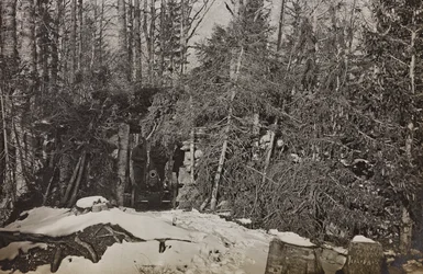 Album "Meine Weltkriegs-Erinnerungen Südwestfront (Kärnten, Italien, Südtirol) 31/03/1915-12/11/1918 - Josef Zohles Wien": Kanone Brisia (s/w Foto)