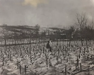 Album "Meine weltkriegs - Erinnerungen Südwestfront (Kärnten, Italien, Südtirol) 31/03/1915-12/11/1918 - Josef Zohles Wien": Militärfriedhof