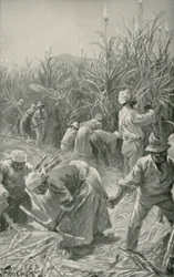 Schwarzer bei der Arbeit auf einer Zuckerrohrplantage in Jamaika