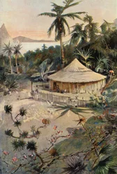 Robinson Crusoe: Will Atkins