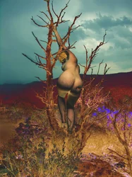 Im Baum