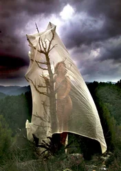 Sturm