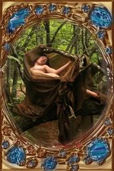Venus im Wald