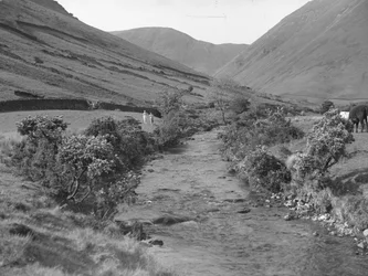 Ein Bach fließt durch die Landschaft von Wastwater