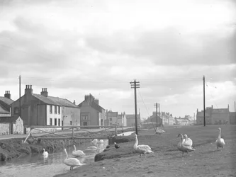 Straße in Allonby mit Schwänen und Bach