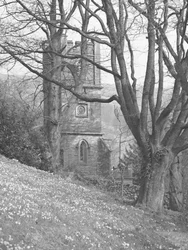 Blick auf eine Kirche; Architektur; religiös; kirchlich; Turm durch Bäume