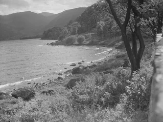 Blick auf das Seeufer und Hügel im Hintergrund