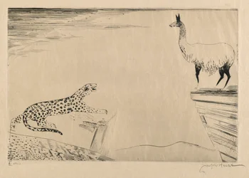 Jaguar und Lama