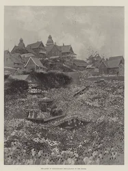 Die Proklamation der Königin von Madagaskar an ihr Volk