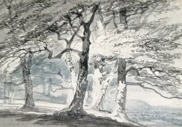 Norbury Park, Surrey