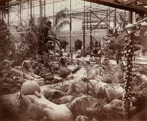 Der Crystal Palace in London: die tropische Abteilung, um 1870