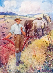 An ein Gänseblümchen von Robert Burns