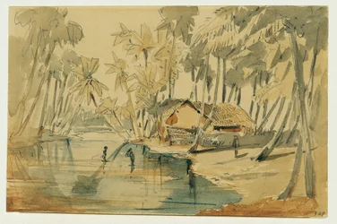 Palmenhain auf Ceylon (Sri Lanka)