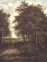Eine Lichtung im Wald