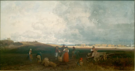 Kartoffelernte im Chiemgau