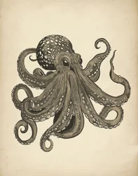 Eleganter Vintage Oktopus