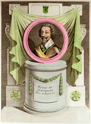 Der Herzog von Alluyn