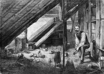 Die Brieftauben im Jahr 1870