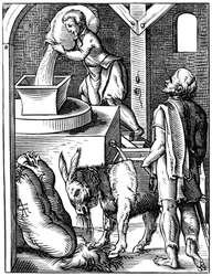 Müller, 16. Jahrhundert 1849