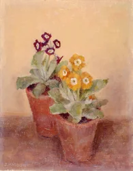 Ein Paar Mohnblumen
