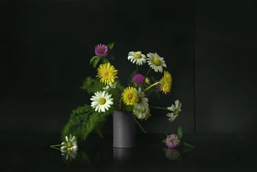 Wildblumen Stillleben