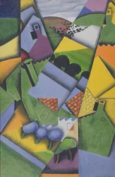 Landschaft und Häuser in Ceret