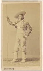 Der Picador