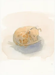 Schlafender Hund, 2003