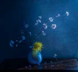 Blaue Blüten und Vase