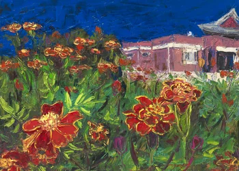 Tempelgarten-Ringelblumen