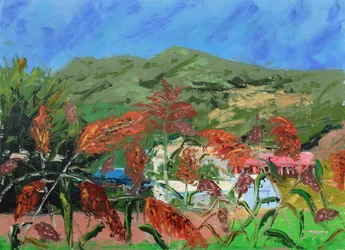 Lebendige Sorghumfeld Landschaft
